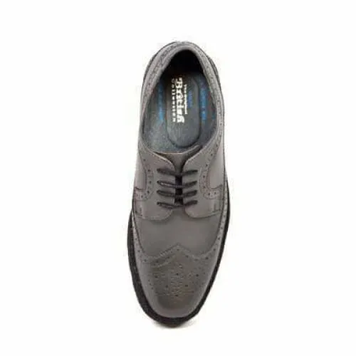 British Walkers Wingtip Low Cut Men's Dark Gray Leather